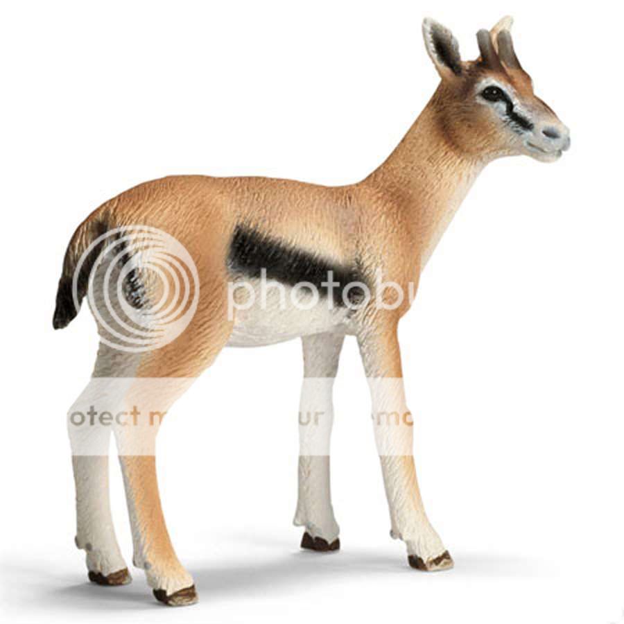 有關以下物品的詳細資料: schleich wild animal figurine - 14396